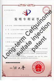 Long-term Cefquinome sulfate injection patent