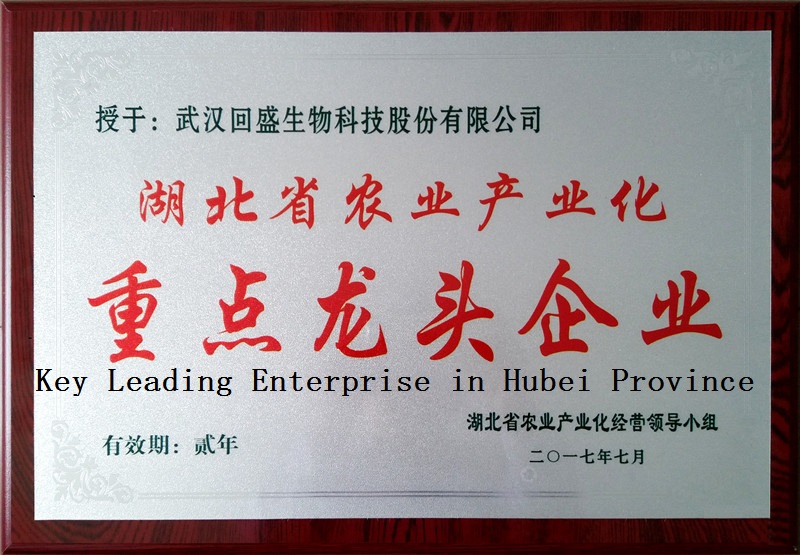 Key Leading Enterprise in Hubei Province