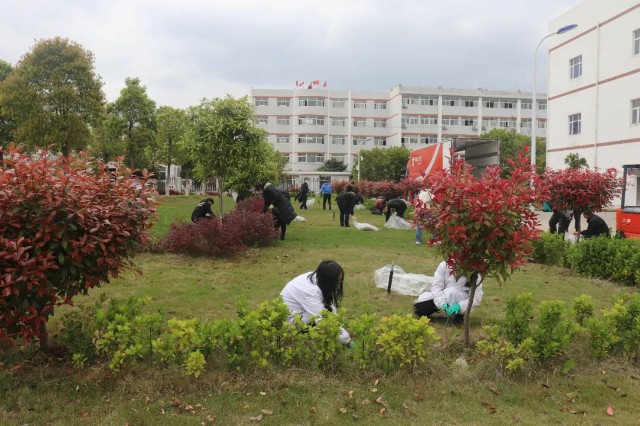 “学习雷锋，拔草护绿”——回盛生物开展义务除草活动