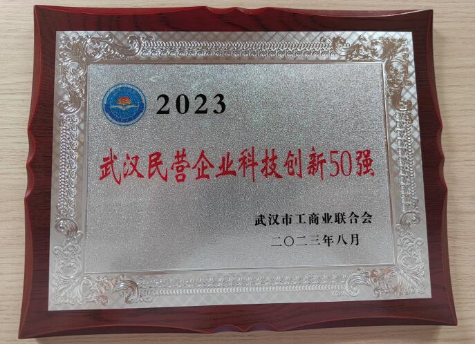 2023武汉市民营企业科技创新50强